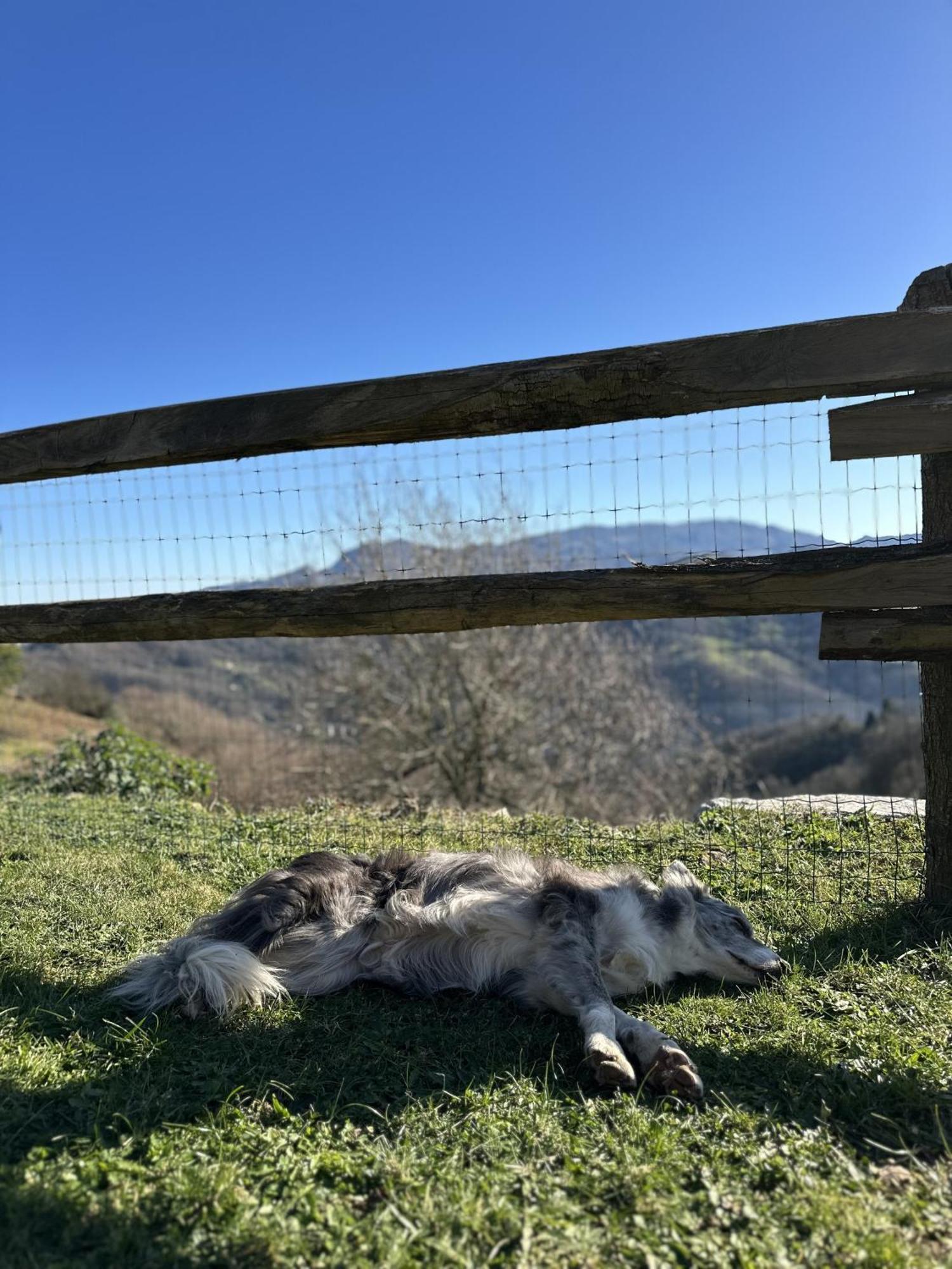 Almastur Rural Villa Siero Exteriör bild